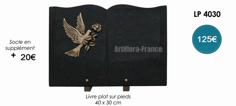LIVRE PLAT GRANIT 30X40 CM