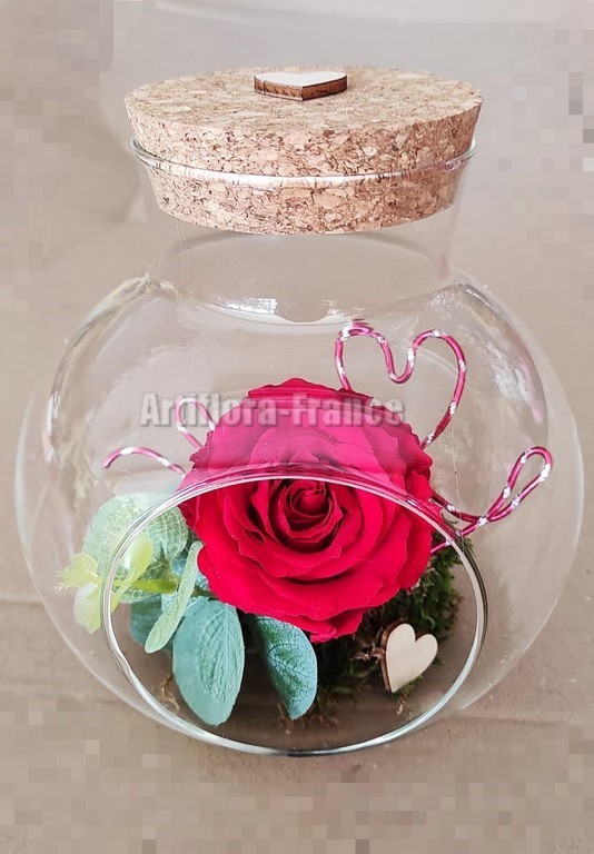 COMPO ROSE ETERNELLE TERRARIUM