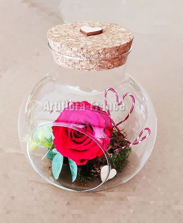 COMPO ROSE ETERNELLE TERRARIUM
