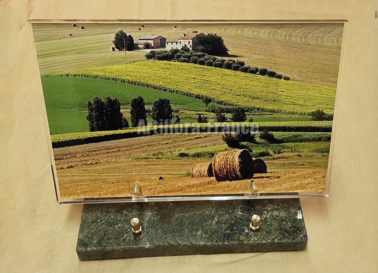 PLAQUE ALTU 20X30CM FOND CHAMPS PAILLE