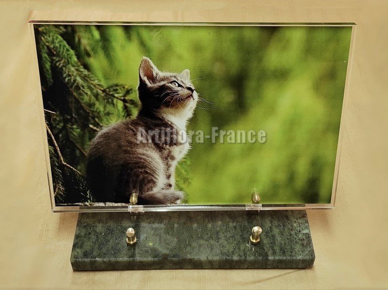 PLAQUE ALTU 20X30CM FOND CHATON