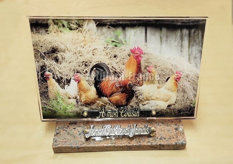 PLAQUE ALTU 20X30CM FOND POULE COQ