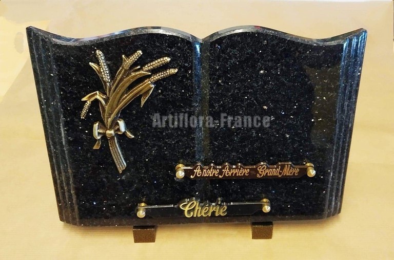 LIVRE PLAT GRANIT 20X30 CM