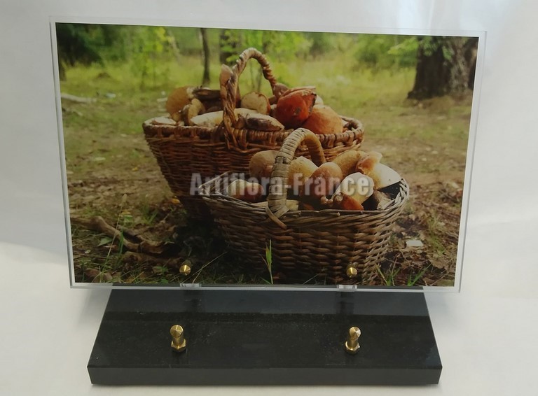 PLAQUE ALTU 20X30CM FOND CHAMPIGNONS