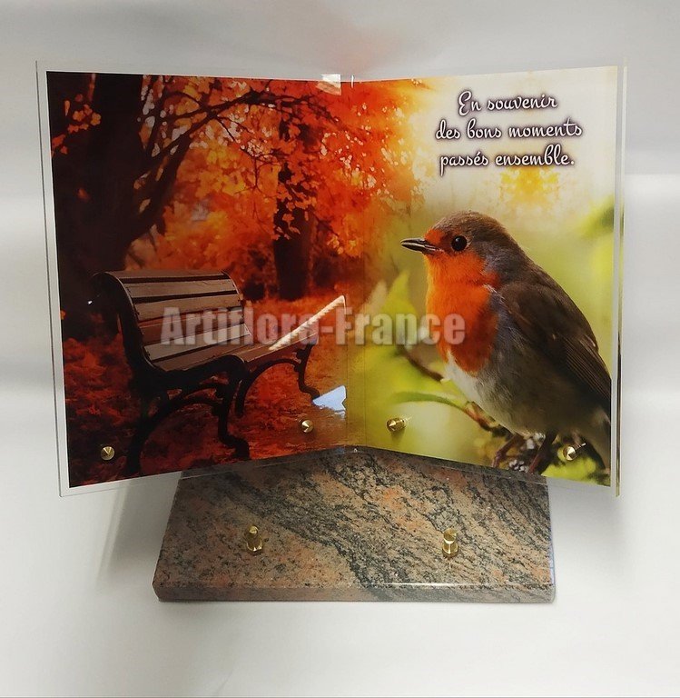 LIVRE PENCHE OUVERT OISEAU + TEXTE