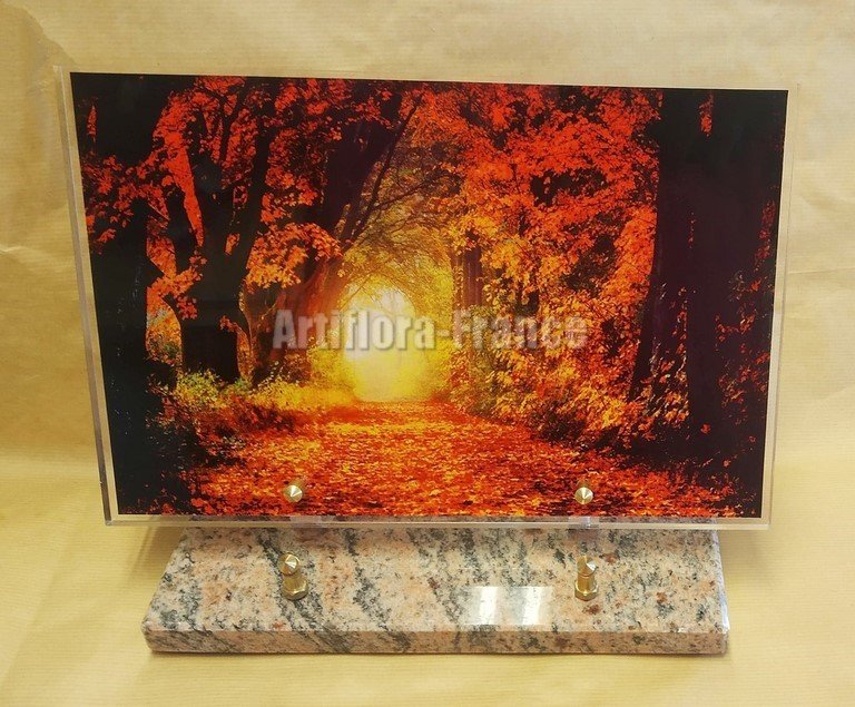 PLAQUE ALTU 20X30CM PAYSAGE AUTOMNE