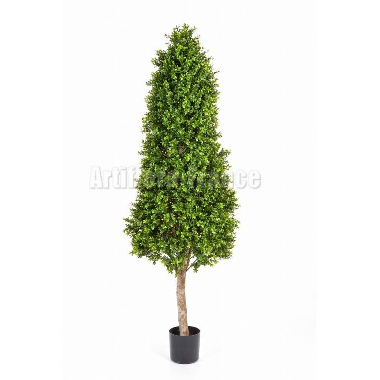 BOXWOOD TOWER TREE TOUR BUIS EN ARBRE