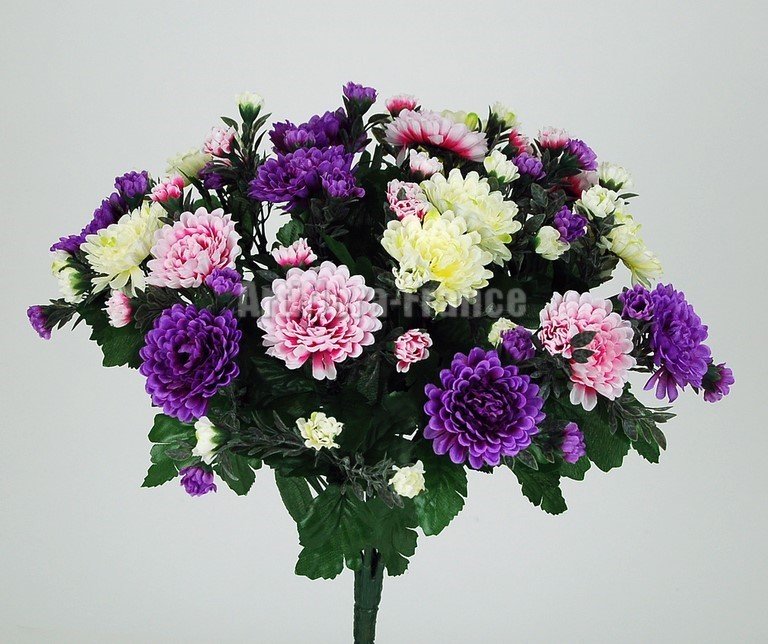 CHRYSANTHEME ASTERS