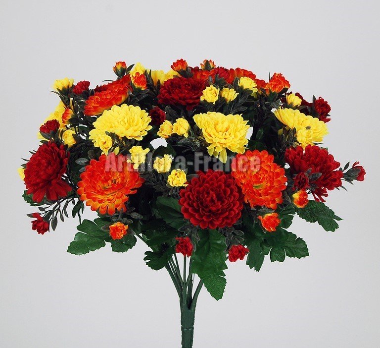 CHRYSANTHEME ASTERS