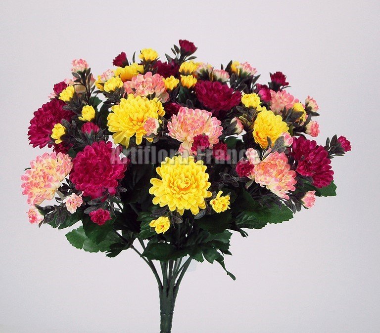 CHRYSANTHEME ASTERS