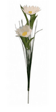 MARGUERITE