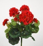 GERANIUM BOUQUET FUNERAIRE