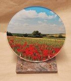 PLAQUE RONDE D25CM ALTU CHAMPS COQUELICOTS