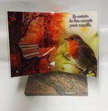 LIVRE PENCHE OUVERT OISEAU + TEXTE