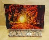 PLAQUE ALTU 20X30CM PAYSAGE AUTOMNE